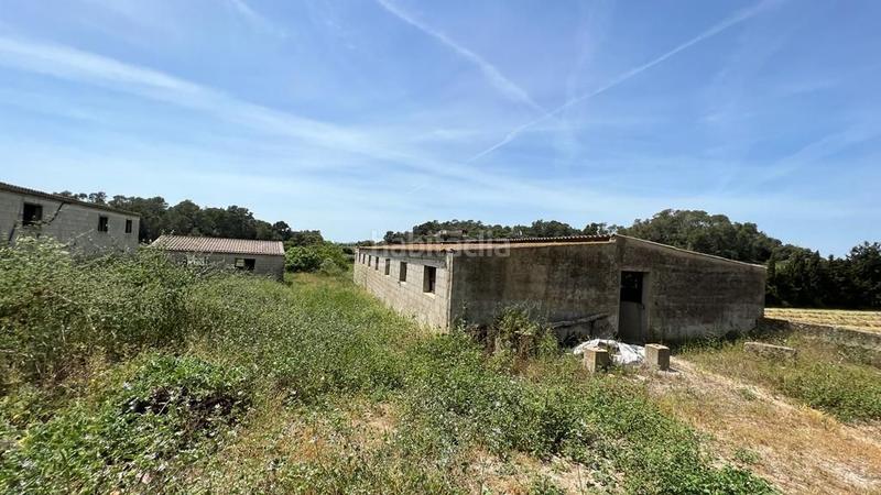 Foto 7a0ceebf-b126-4706-abe5-e8bd64eda9d4. Finca rústica en venta solar en Sineu