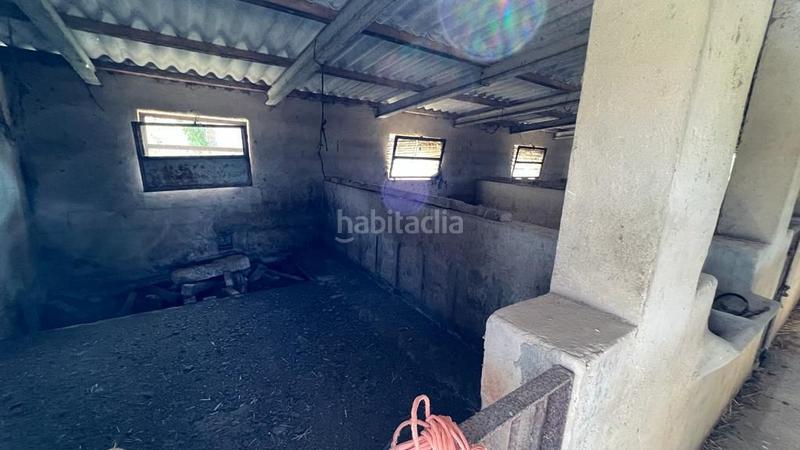 Foto 7bf10e62-324a-46d6-b528-287968d18dcd. Finca rústica en venta solar en Sineu