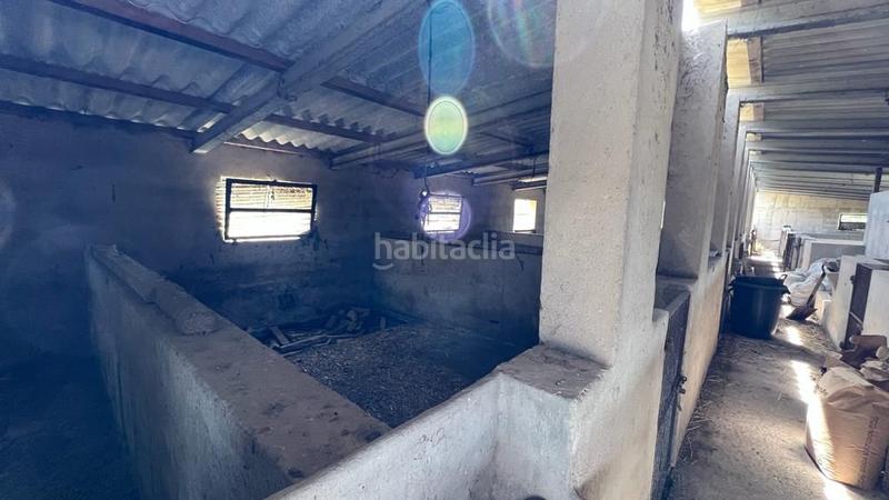 Foto 87f256b6-155b-48bd-ab67-3253c013de98. Finca rústica en venta solar en Sineu