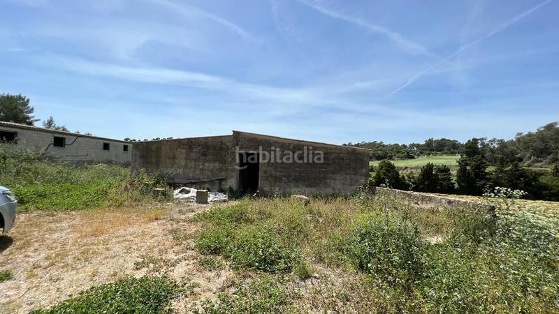 Foto 97a235aa-e112-40c4-9665-55df29c2bcf0. Finca rústica en venta solar en Sineu
