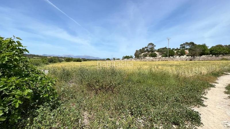 Foto af345cb2-060f-4e49-bed1-97aaa64d01ec. Finca rústica en venta solar en Sineu