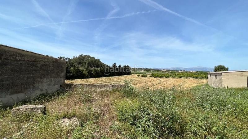 Foto fbf4fc0d-866f-410d-ba58-95087c4e41c0. Finca rústica en venta solar en Sineu