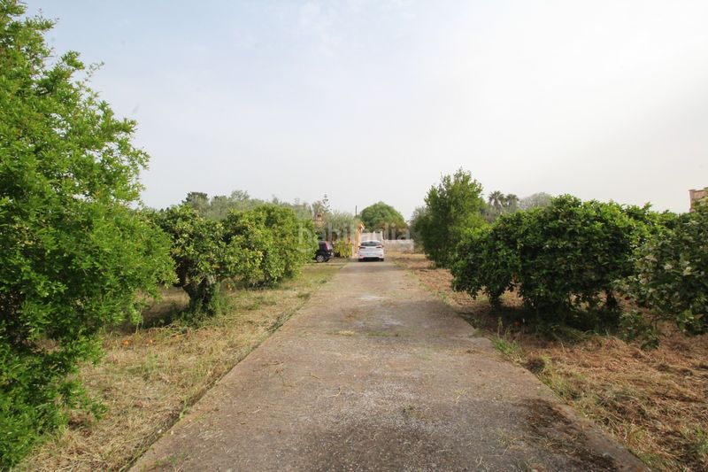 Foto 7da90e81-dd40-45a0-9785-d09de501bb65. Casa amb xemeneia piscina a Els pla de na Tesa Marratxí