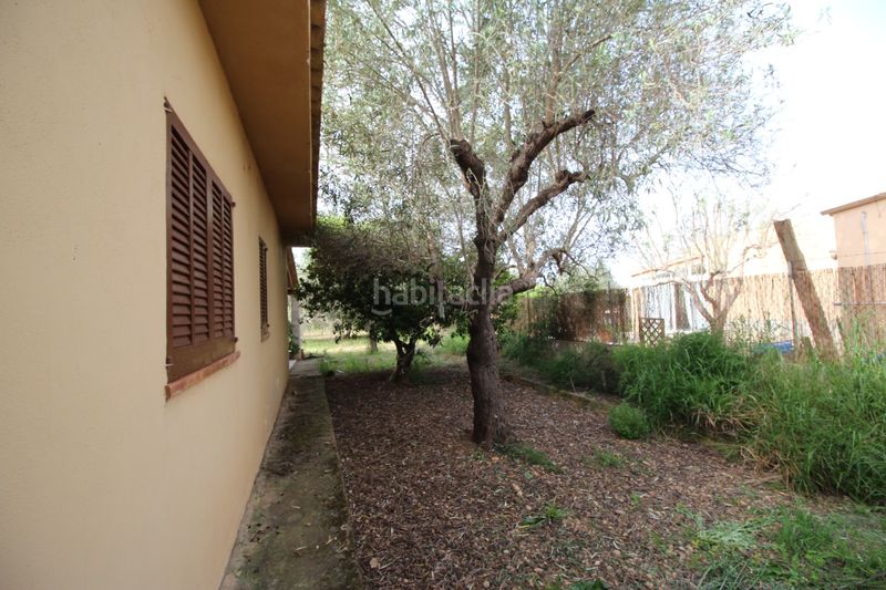 Foto c43e5c1a-bae4-4c7e-91a1-6f76c9a29010. Casa amb xemeneia piscina a Els pla de na Tesa Marratxí