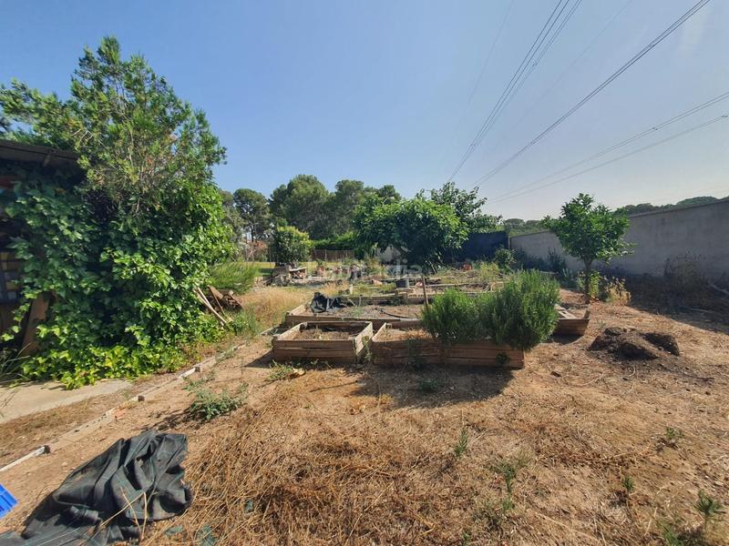 Foto 73657d2f-903a-4abb-9653-4bdf6b2045bd. Terreno residenziale in Entrepinos Eliana (l´)