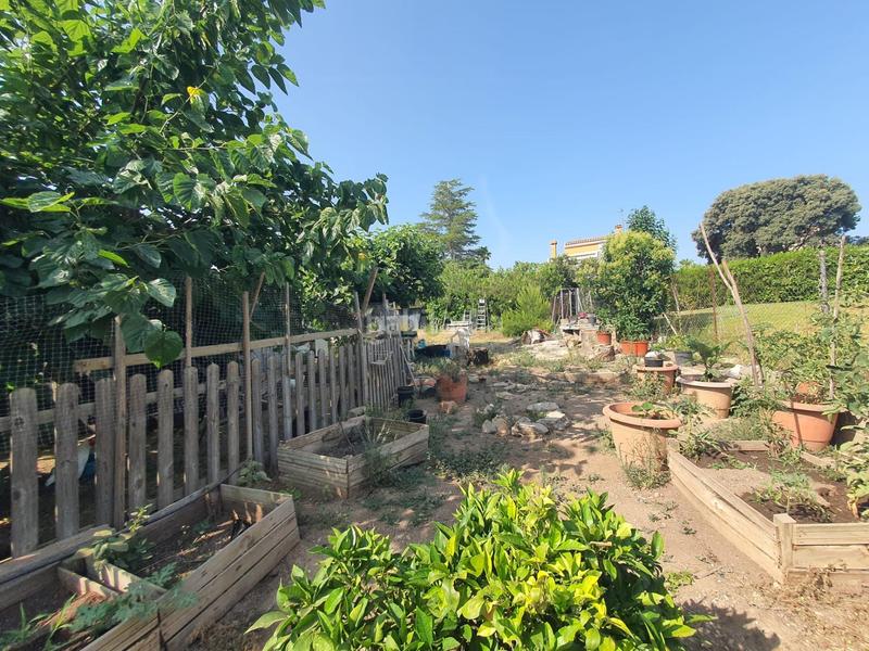 Foto b71faa3f-e840-4311-84d8-ebd99bbf96b1. Terreno residenziale in Entrepinos Eliana (l´)
