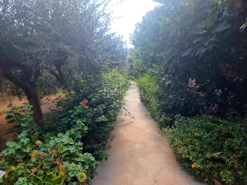 Foto cc2a726e-60fc-43a7-a01e-b0b937baf082. Chalet avec parking dans Alfara de Algimia