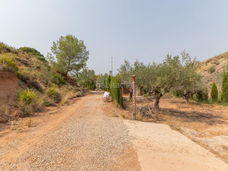 Foto 32426f54-5870-4414-8b7d-73d8e5fdbf6b. Chalet espectacular finca!!! gran oportunidad de inversión !!! en Alborache