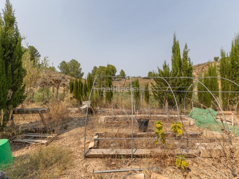 Foto 5004e4ce-2329-4b5b-890b-743d5f09a240. Chalet espectacular finca!!! gran oportunidad de inversión !!! en Alborache