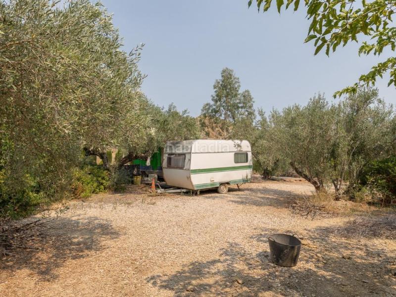 Foto 67a412e1-ae71-463f-beca-4fabd16da117. Chalet espectacular finca!!! gran oportunidad de inversión !!! en Alborache