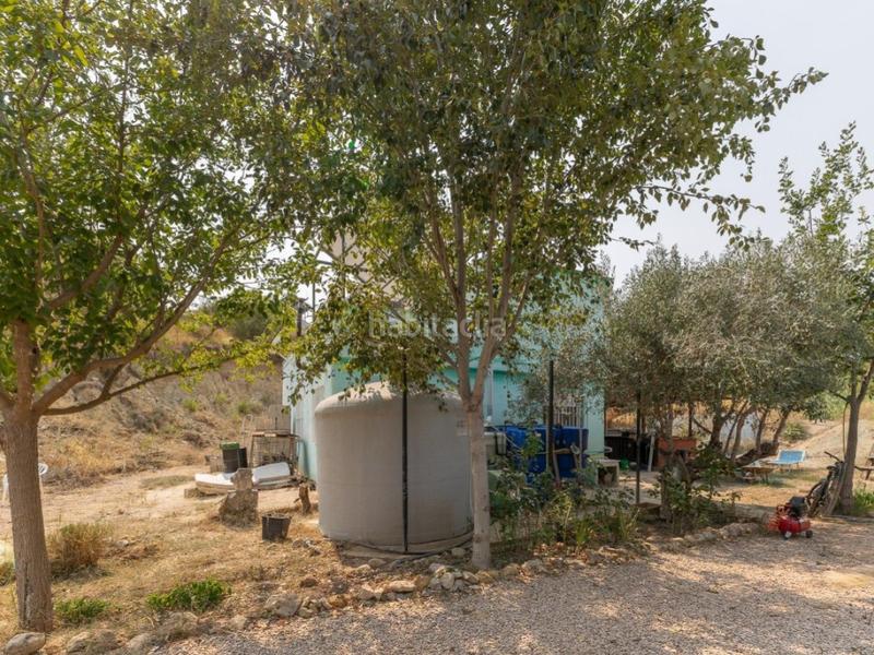 Foto 6d81f164-10fe-4e13-8544-c250ec39d522. Chalet espectacular finca!!! gran oportunidad de inversión !!! en Alborache