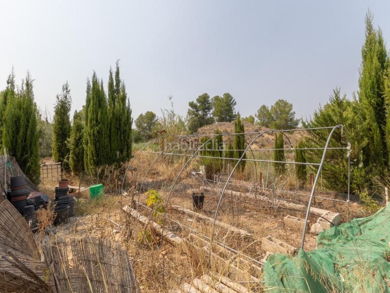 Foto 72339b6b-0ef0-4cdf-96c5-43bc0da098e7. Chalet espectacular finca!!! gran oportunidad de inversión !!! en Alborache