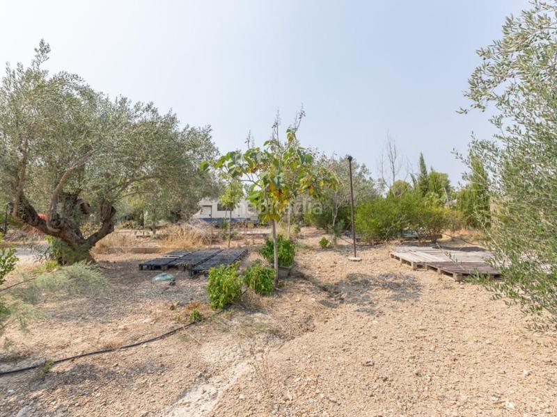 Foto ab70a555-2269-46c5-8985-b48c572c95c9. Chalet espectacular finca!!! gran oportunidad de inversión !!! en Alborache