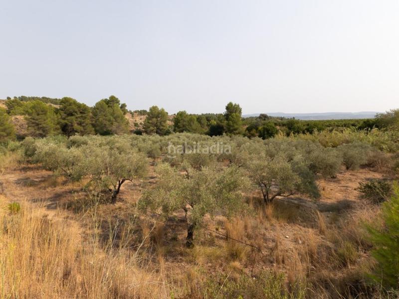 Foto bcd3a6a5-d0a5-4790-8d7f-e267a8665275. Chalet espectacular finca!!! gran oportunidad de inversión !!! en Alborache