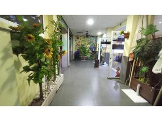 Locale commerciale in Calle Pintor Ferrer Calatayud