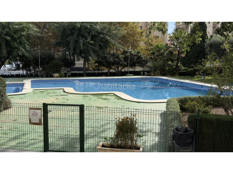 Foto 92facdb7-9d07-4a91-b874-5b605eaa3c9a. Apartament amb aparcament piscina a Levante Alto Benidorm