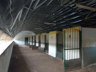 Terreny residencial a Llíria