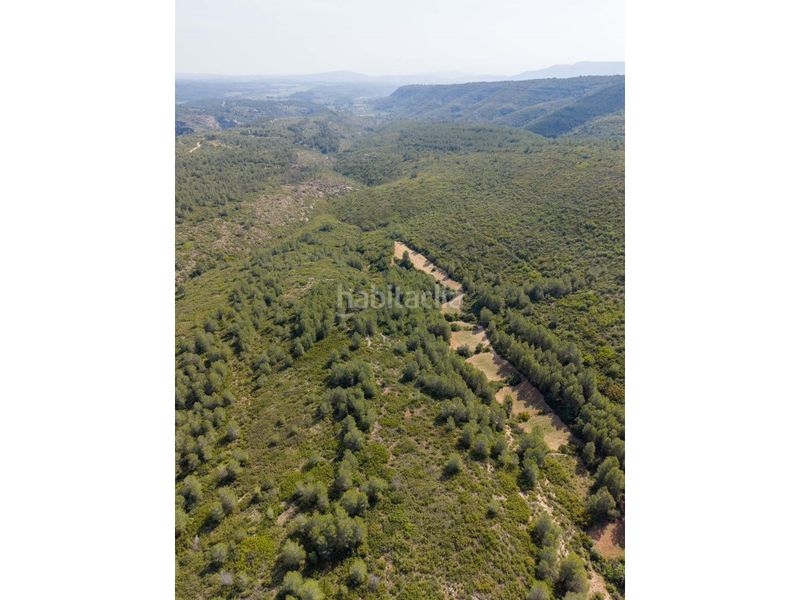 Foto e25af37c-ba0d-4698-97f8-afba3149a1c5. Casa a Enguera