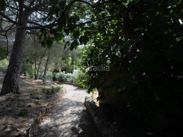 Foto e8635b00-71e5-46c7-a6be-13bce791f963. Casa a Centro-El Castillo Sagunt