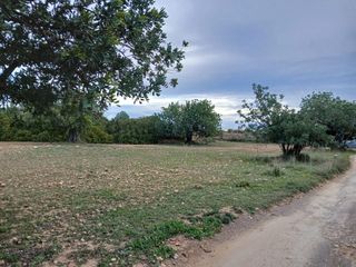 Terreny residencial a POLIGONO 24 CHESTE