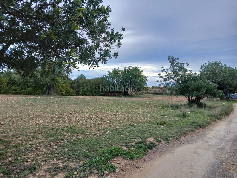 Foto e66412c0-002c-4232-b3d1-93059ea41467. Terreny residencial a Cheste