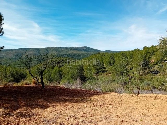 Foto 946b0b81-2af2-4f63-99dc-e9749b32fc2a. Masia a Buñol