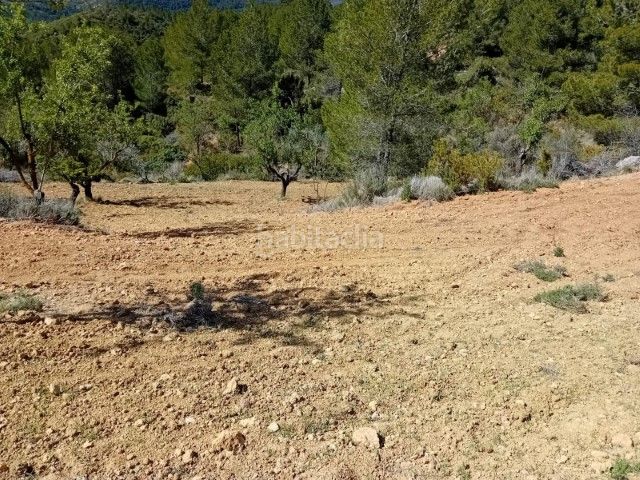 Foto bf02bd20-fcf7-47cc-9938-2bfaeead9c67. Masia a Buñol