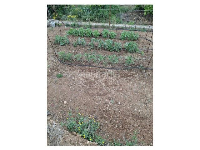 Foto 0de8f493-2110-4e83-9005-b5fd2508577b. Terreny residencial a Cheste