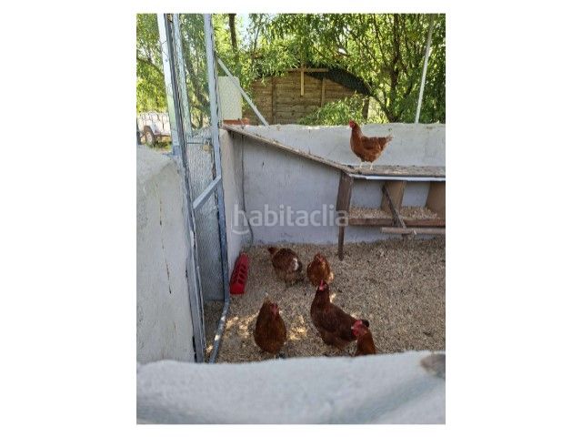 Foto 1a20f590-eb75-420f-8a8a-1fab7fd236a2. Terreny residencial a Cheste