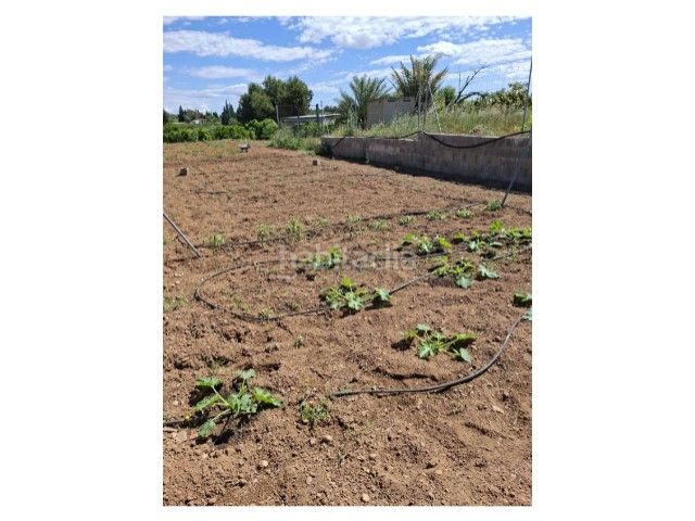 Foto 1fc44683-6e7b-427e-a8be-85f118a5f8ab. Terreny residencial a Cheste
