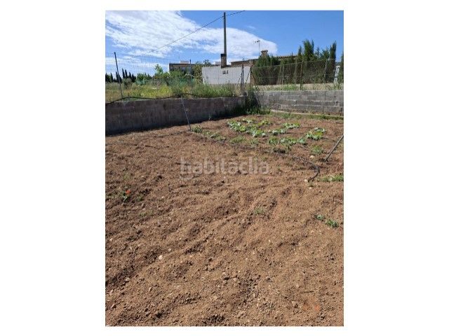 Foto 4ac2bd16-5706-47f1-8eb5-d57a6373a64e. Terreny residencial a Cheste