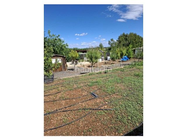 Foto 4f95c886-ccff-48b7-92ea-f34cfc9156fa. Terreny residencial a Cheste