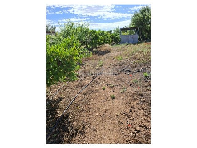 Foto 880d7c7e-c382-497d-b3de-66fccef47b81. Terreny residencial a Cheste