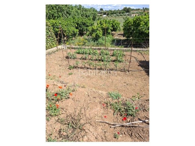 Foto f532eaf4-5a01-4e6b-b3d0-a1832108e0f1. Terreny residencial a Cheste