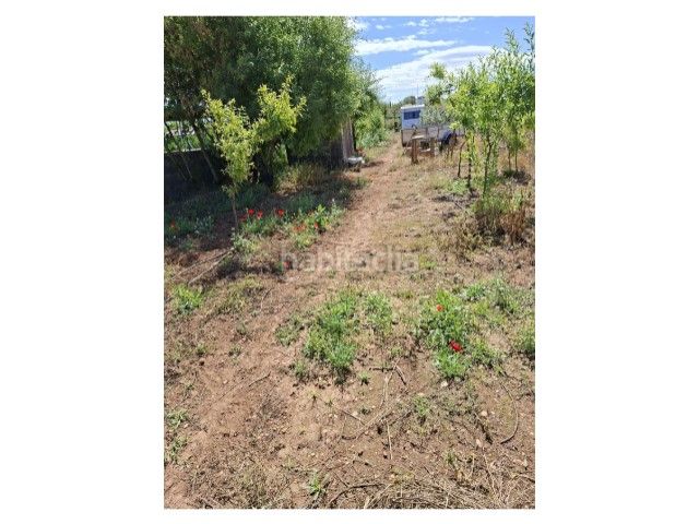 Foto fbdbacda-b2e5-491e-ae69-ecc023d20a38. Terreny residencial a Cheste