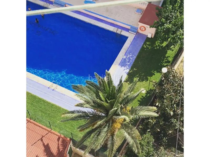 Foto 3bd66bf7-ff6b-428b-bb7a-221793a6a0d7. Pis a Miramar