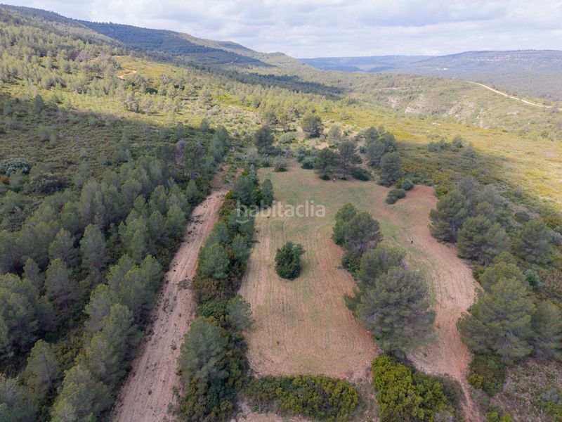 Foto 39f5b819-1479-4a86-8ab5-f689b9e38f13. Masia a Enguera