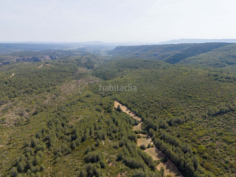 Foto 426a076f-20d2-43ce-85cf-a0355c411cb1. Masia a Enguera