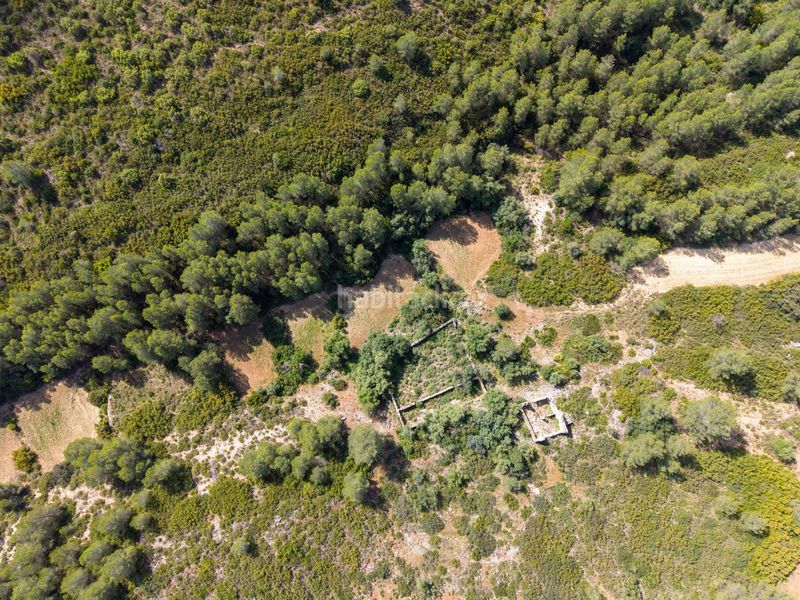 Foto 47dadb4a-ff2c-464b-b8a8-ab8ba7ad6383. Masia a Enguera