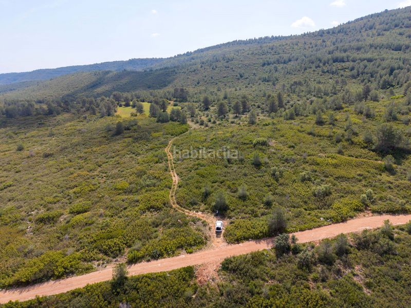 Foto 4a50859a-5017-4c75-b3d8-6a09ff2c6d3d. Masia a Enguera
