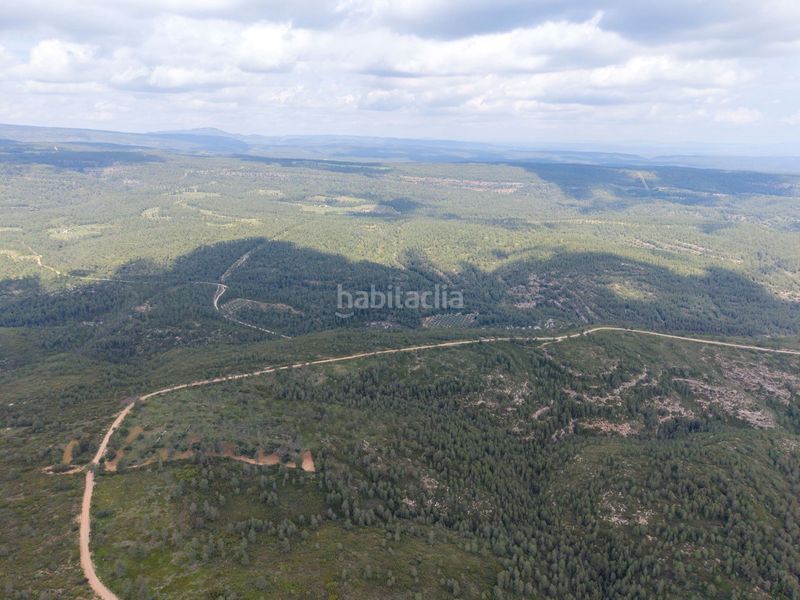 Foto 72574030-55ef-4a3e-9fb9-80bae3a40a67. Masia a Enguera
