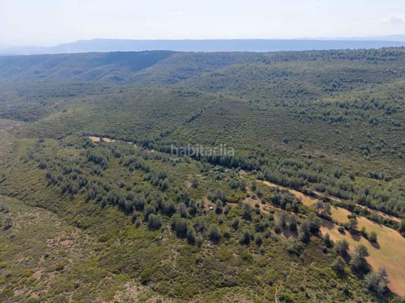Foto 89181c25-cd0f-46e4-8748-02fa3cfb6248. Masia a Enguera