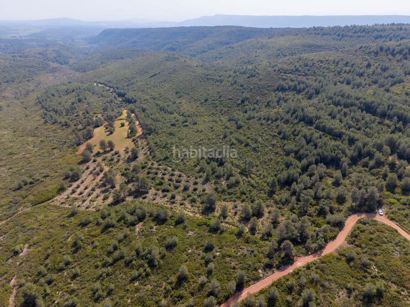 Foto 9fb3c28e-24ff-4d92-8e82-bd0560b3167d. Masia a Enguera