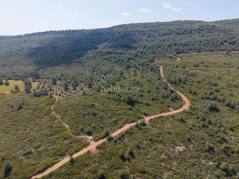 Foto a1eff79b-99db-4444-b9e3-e36eb20cdba9. Masia a Enguera
