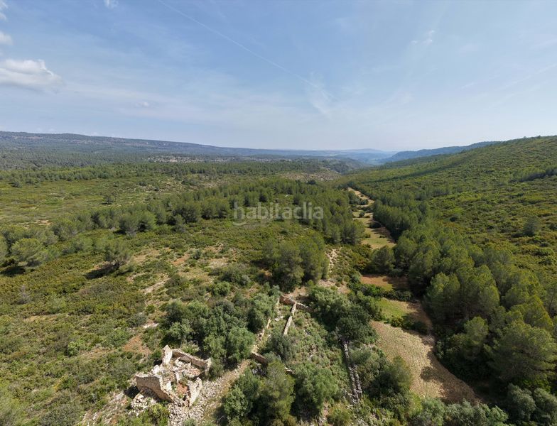 Foto dc7e77b0-e6c2-4661-a276-c01a19b8834c. Masia a Enguera