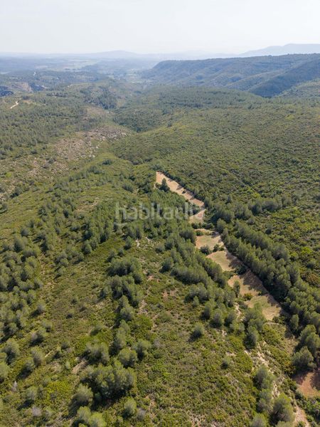 Foto f0e72d7f-9b0c-4516-95f3-a840a677c664. Masia a Enguera