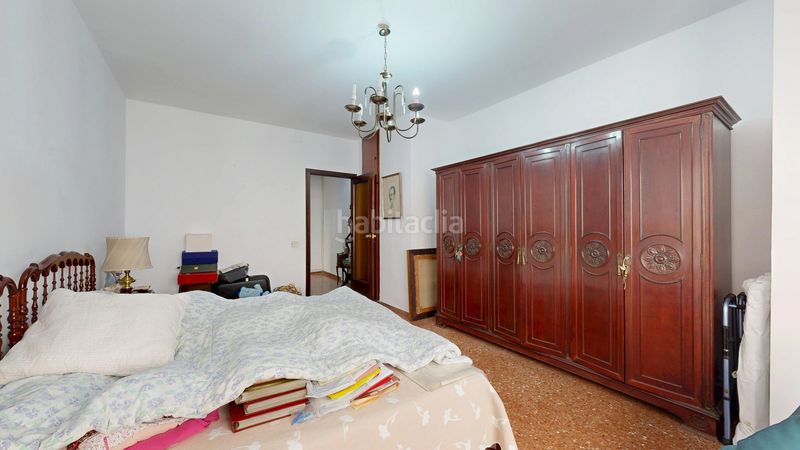 Foto 9ff0d395-a8d1-4352-a1ae-0e759f9b301f. Pis a El Botànic Valencia