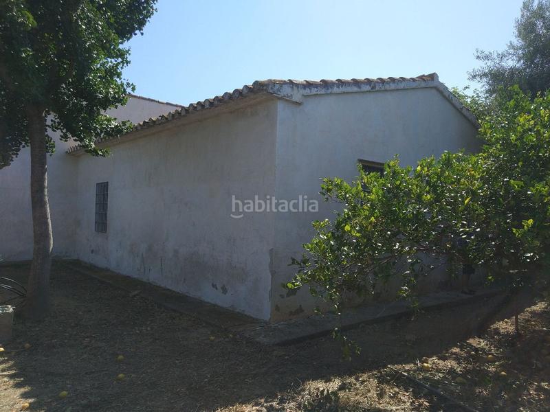 Foto 5032b324-3393-49eb-8cd2-6be6a3612f16. Fondo rustico in Piscinas Burriana