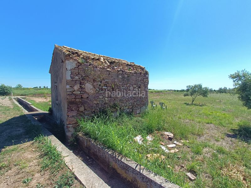 Foto 0a050fd9-2a9f-4ec0-9e10-dd47a6f79b1e. Finca rústica a n/a a Llombai Burriana