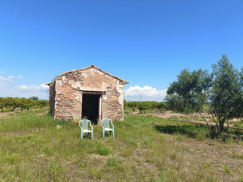 Foto 8a304c85-31a5-4255-a795-343b53c21a62. Finca rústica a n/a a Llombai Burriana